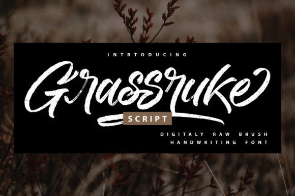 Grassruke: A Bold Script Typeface for Editorial Impact